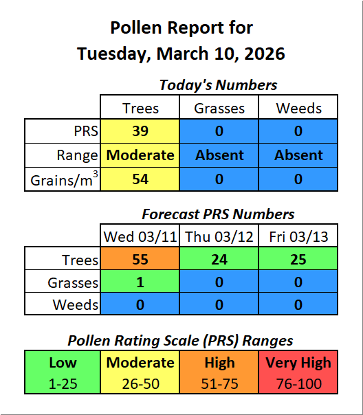 Forsyth County, NC Pollen tweet media