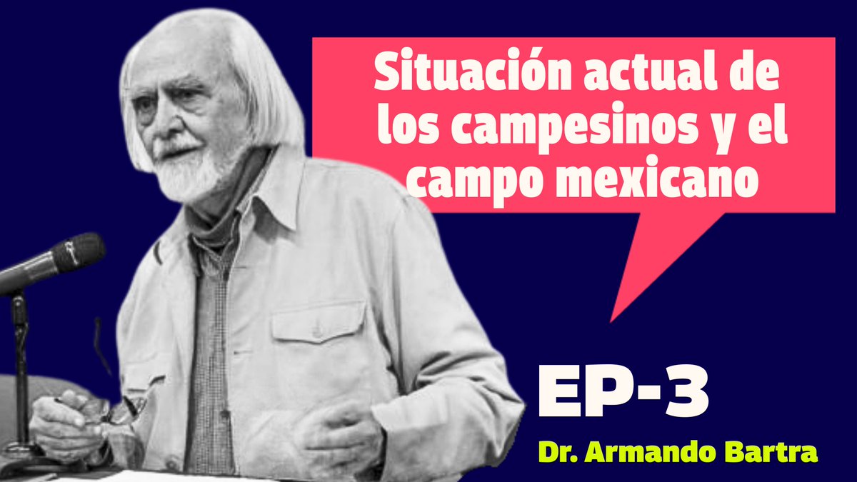 contrapunto.mx tweet media