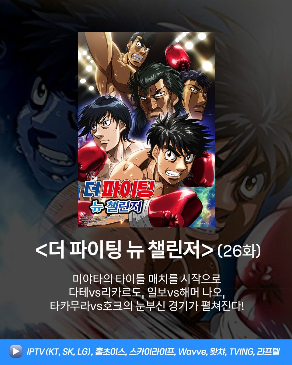 얼리버드픽쳐스 tweet media