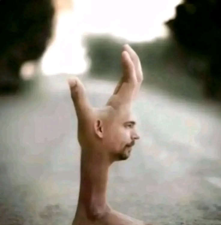 mgop 🌈 tweet media