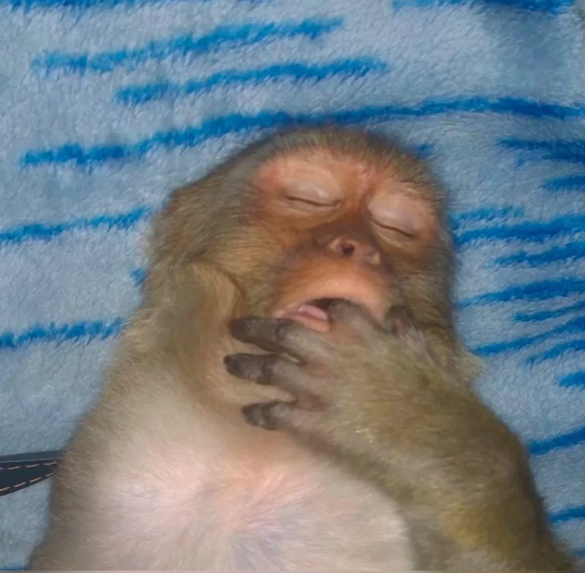 Sunny ☀✨ tweet media