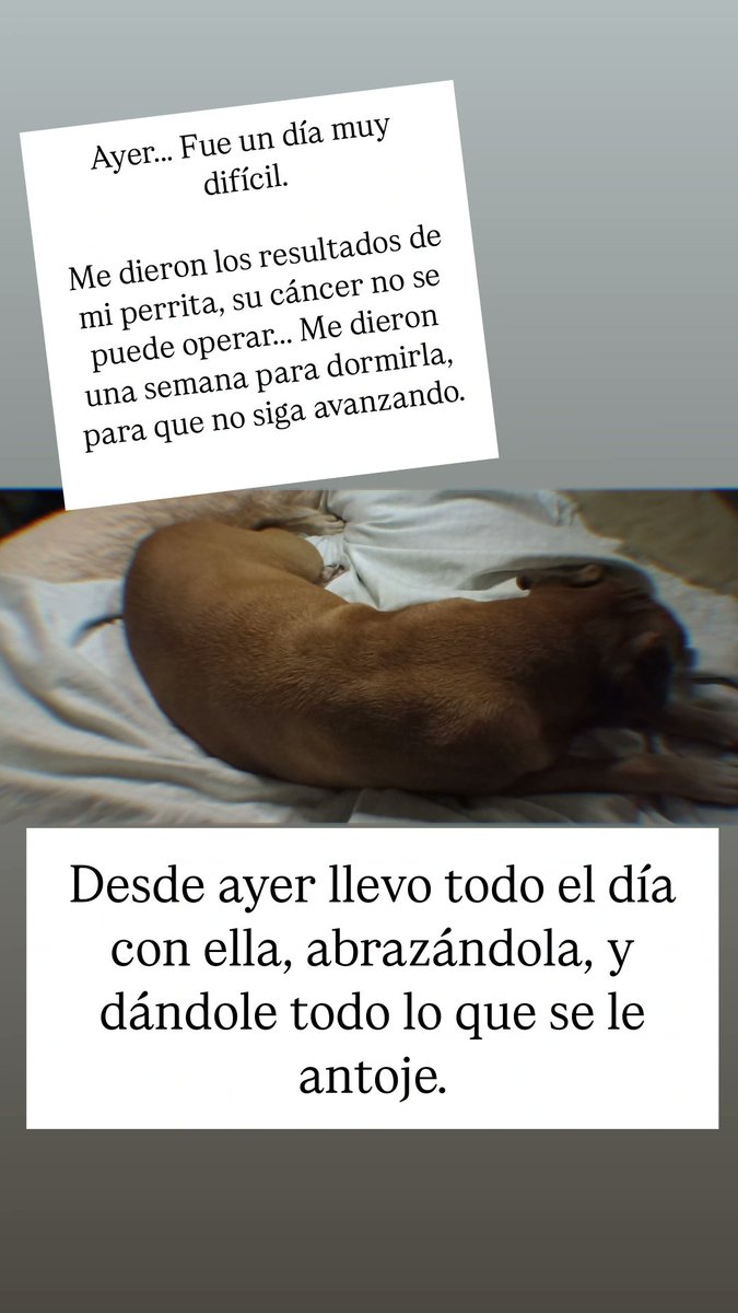 🐻🎀 SoyRikku 🎀 🐻 💚VGEN tweet media