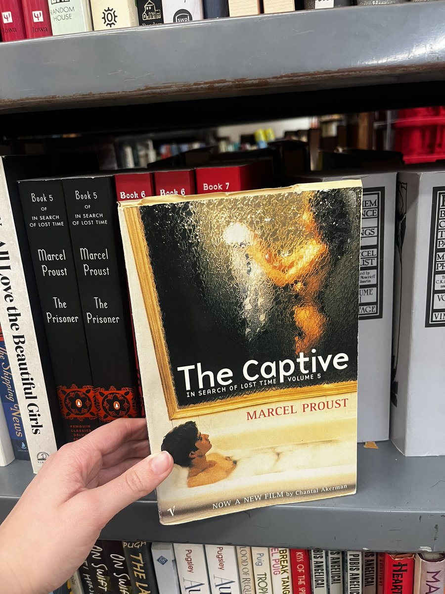 leonor grave tweet media