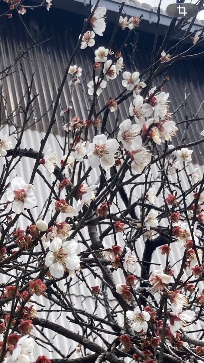 SDG伊賀株式会社 tweet media