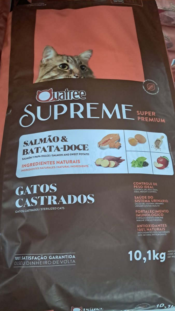 Rodrigo_AFM's tweet photo. @LaurenAntunesz @whereistfkeys Vai nessa super premium sem transgênicos e fracionada sempre vai ter ração  fresquinha,melhor para o trato urinário https://t.co/OtLIqEbcey