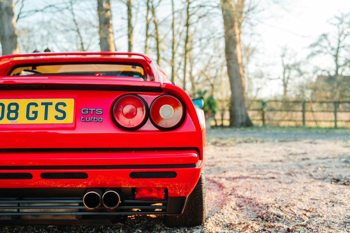 Fynmere (Peter) tweet media