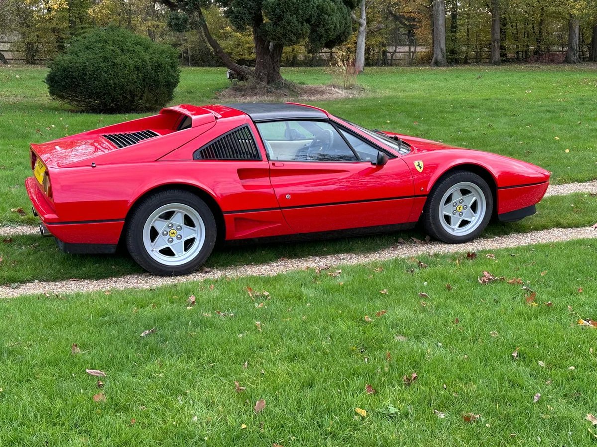 Fynmere (Peter) tweet media