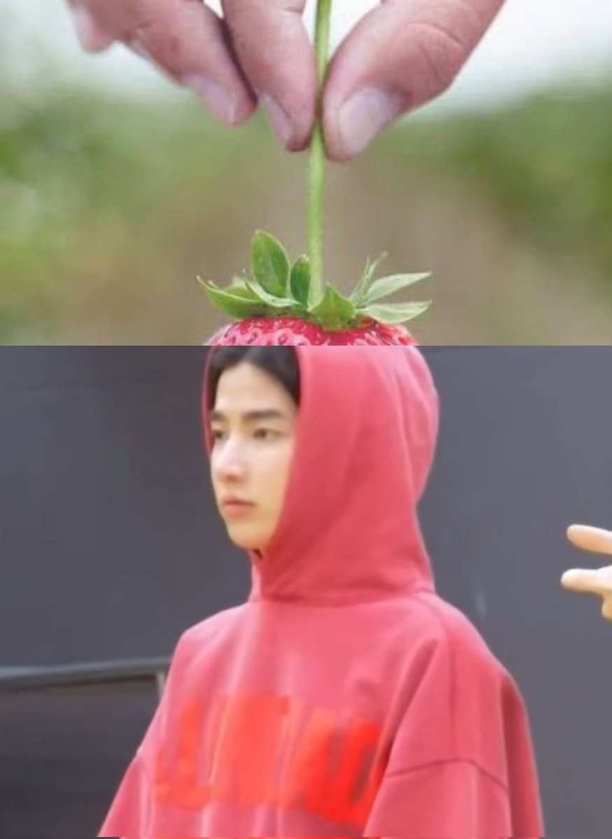 🍓🤣🍓