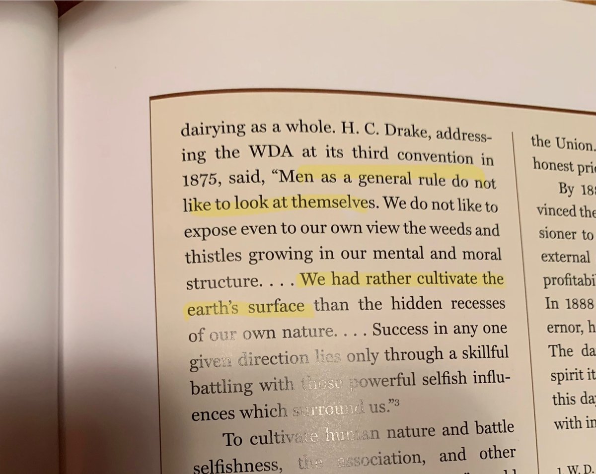 feastofassumption tweet media