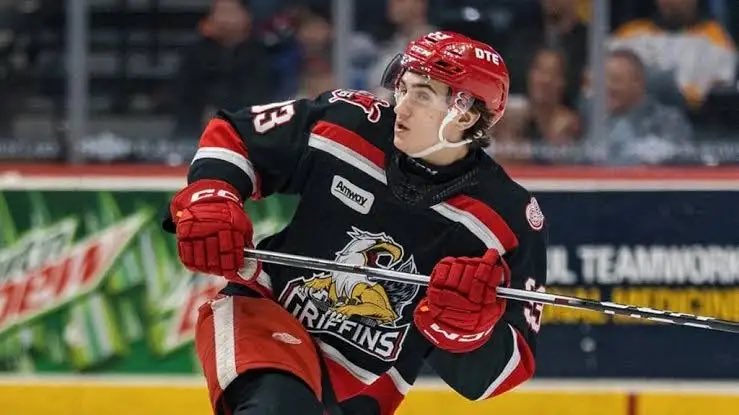 Red Wings Diehards™ tweet media