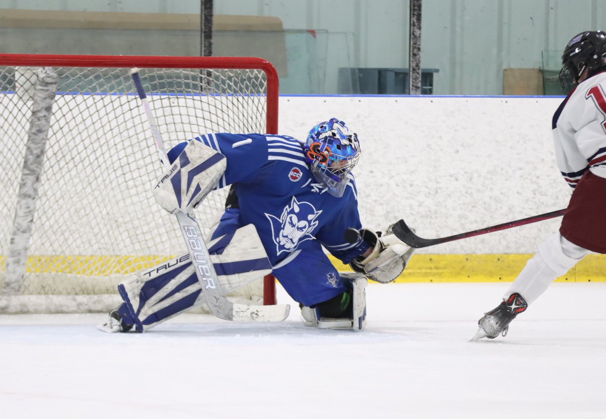 Blue Devil Photography tweet media