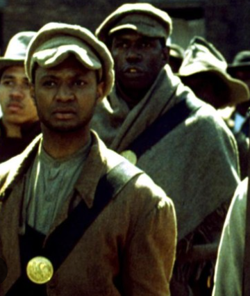 Moochie Bear Research Squad (M.B.R.S.) tweet media