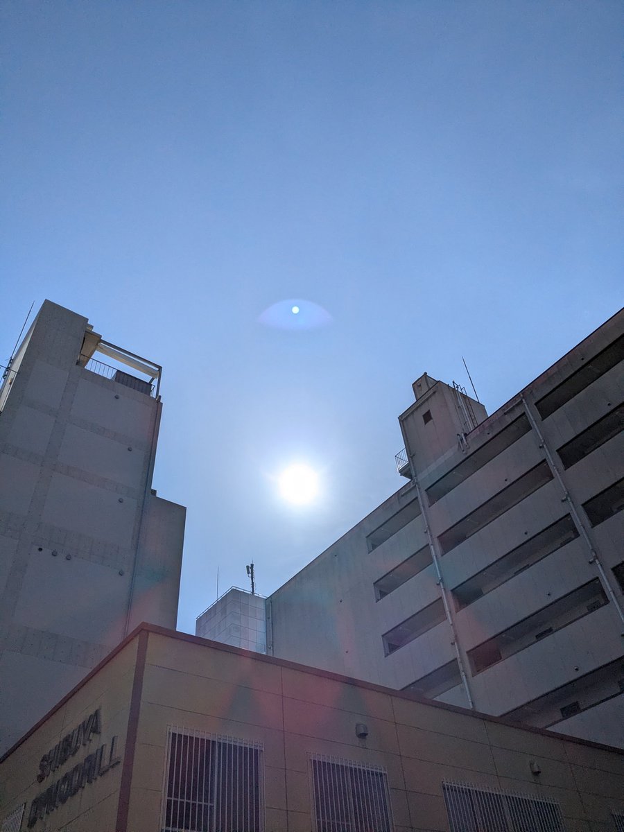 adomlabo's tweet photo. おはよう〜大阪のお陽さま
いつも照らしてくれてありがとうm(_ _)m
今朝はまだ寒かったけど、お陽さまにあたると元気がでるね〜
今日も感謝を忘れず、頑張るで‼️
#イマソラ
#空が好きな人と繋がりたい
#写真好きな人と繋がりがたい 
#お陽さまが好き https://t.co/eaVC8oQL7t