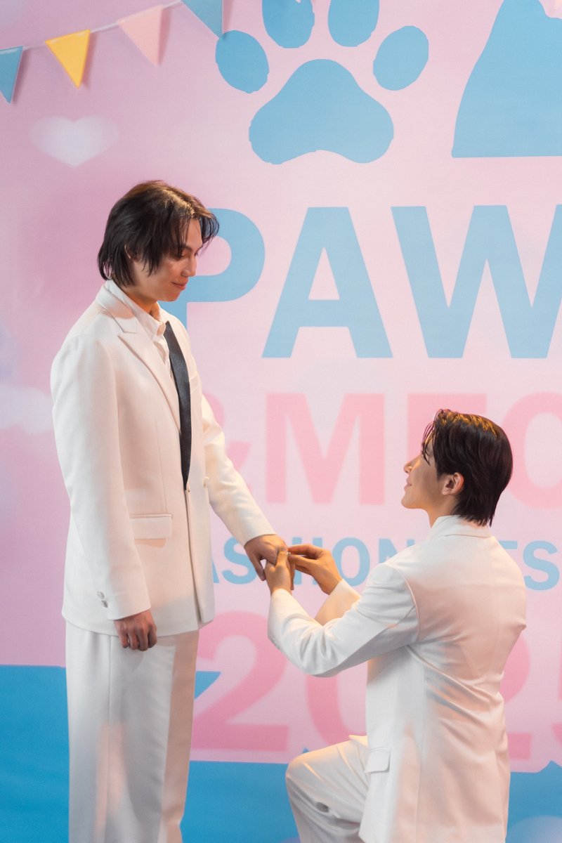 firstkhaobol's tweet photo. Mirenlos son perfectos 

#CatForCashEP8 https://t.co/75zDWLUWWS