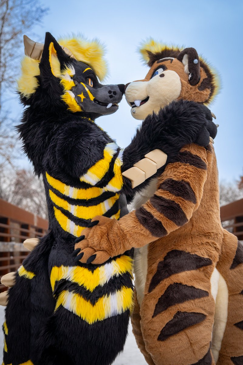 Flow the Wolf - F2 tweet media