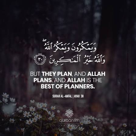 Mr.B0BERT tweet media