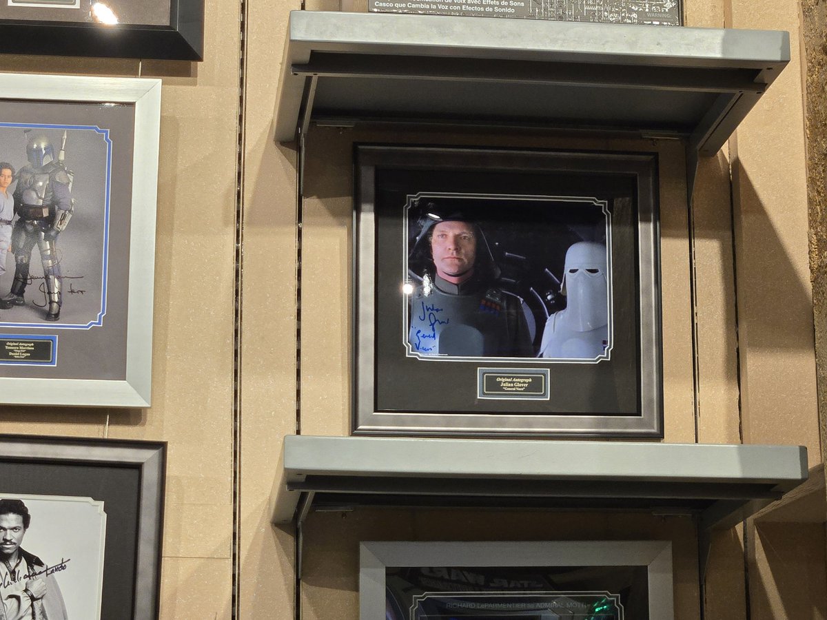 ALL-STAR TOURS tweet media