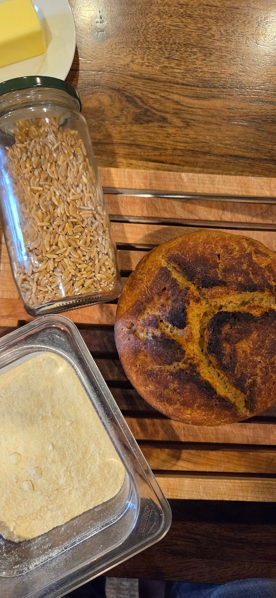 yorudan's tweet photo. They hooked me up~
#kamut #sourdough https://t.co/z0oqHyTCXa