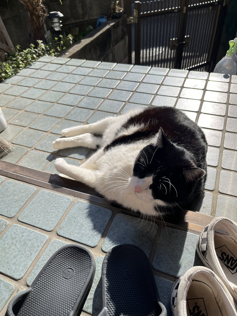 影までふわふわ