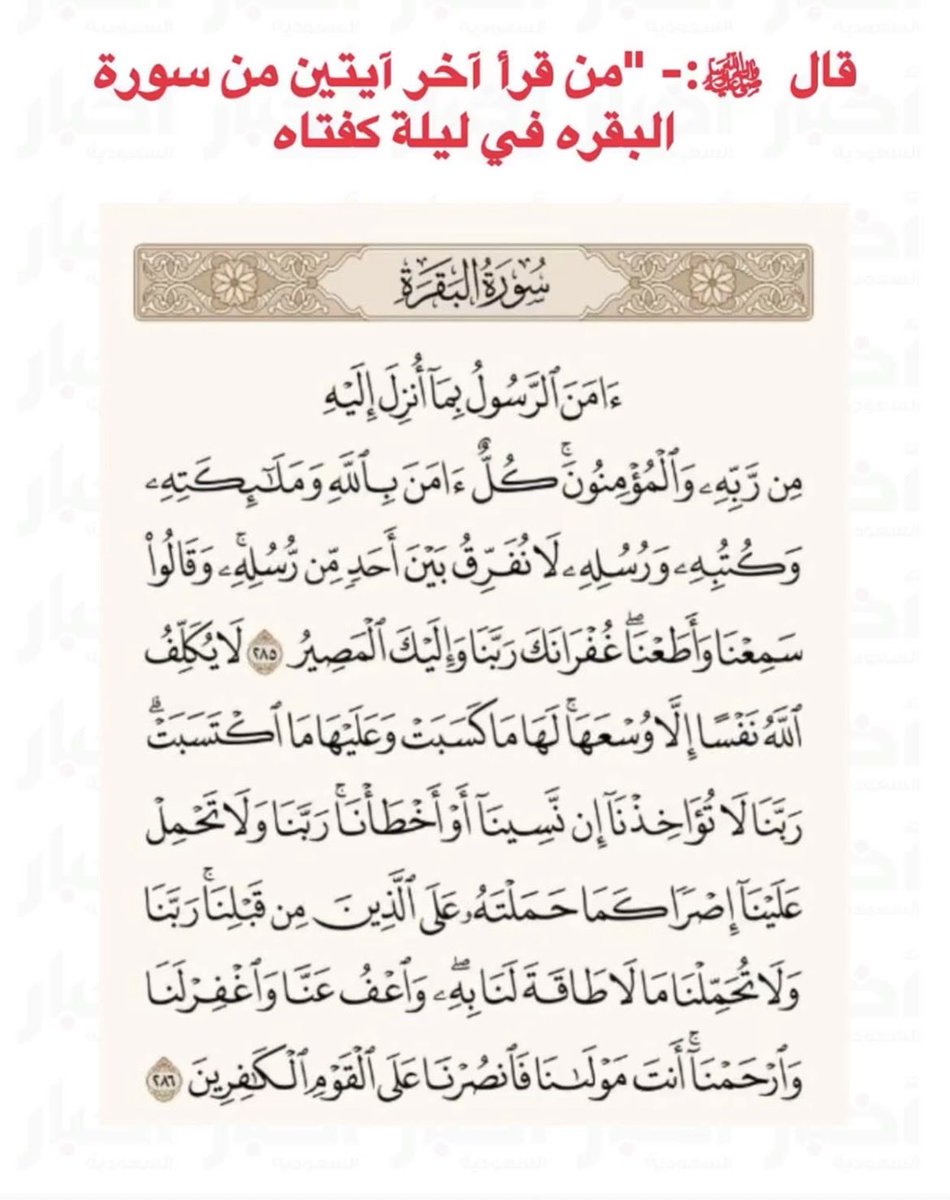 وائل بن ربيعه tweet media