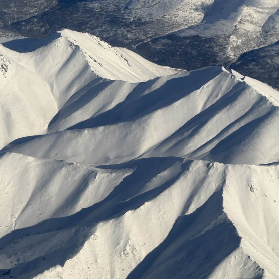 Jeff Schultz tweet media