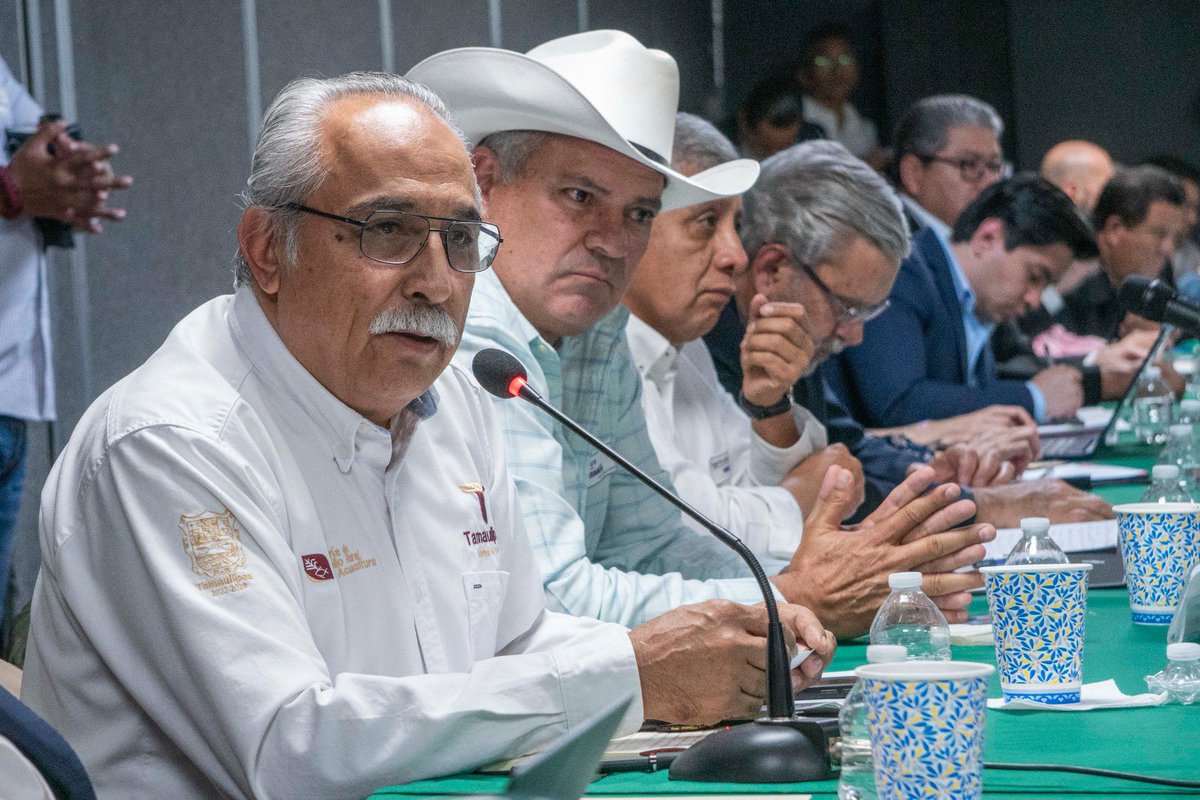 Julio Berdegué tweet media