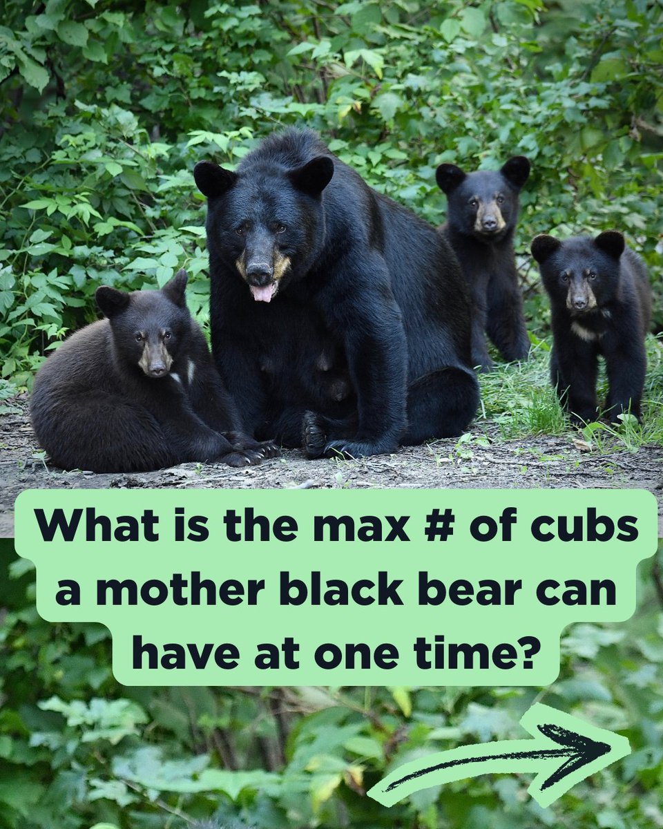 Morris CtyLibrary tweet media