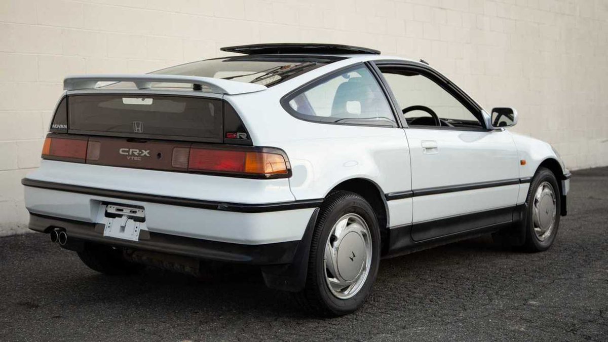 Mike the Hot Dog Mayor tweet media