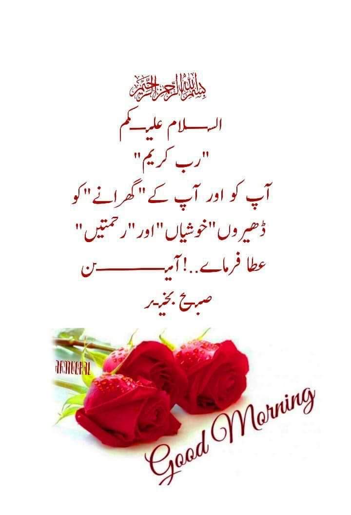taslimasim's tweet photo. Promo
#رائے_پروموشن 
@_Rai786
@_Rai777
@_Rai72
@taslimasim
💯
@Syeda1p
@sm_040
@_its_kanwal
@haimaAni
💯
@t_bas4
@0pakpti1
@_Akmal__
@Rizvi01100
@ZT_786
💯
@M_a_143
@Bee_Classy4
@Adnff1

💯

🌴🌴🌴

7696 https://t.co/HVeQu71D9U