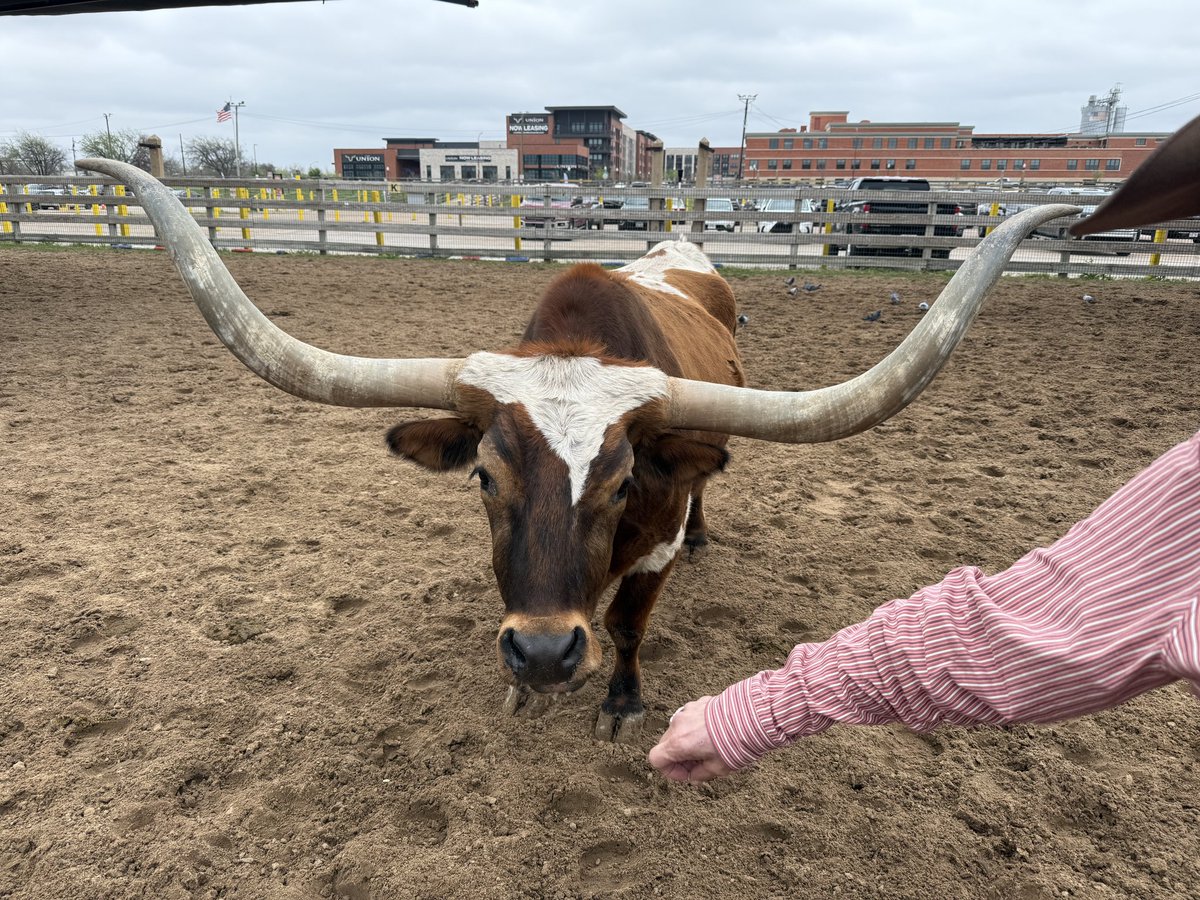 Tim Boyum tweet media