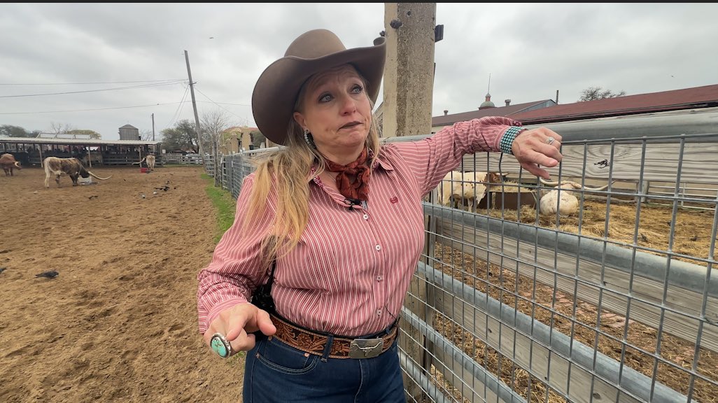 Tim Boyum tweet media