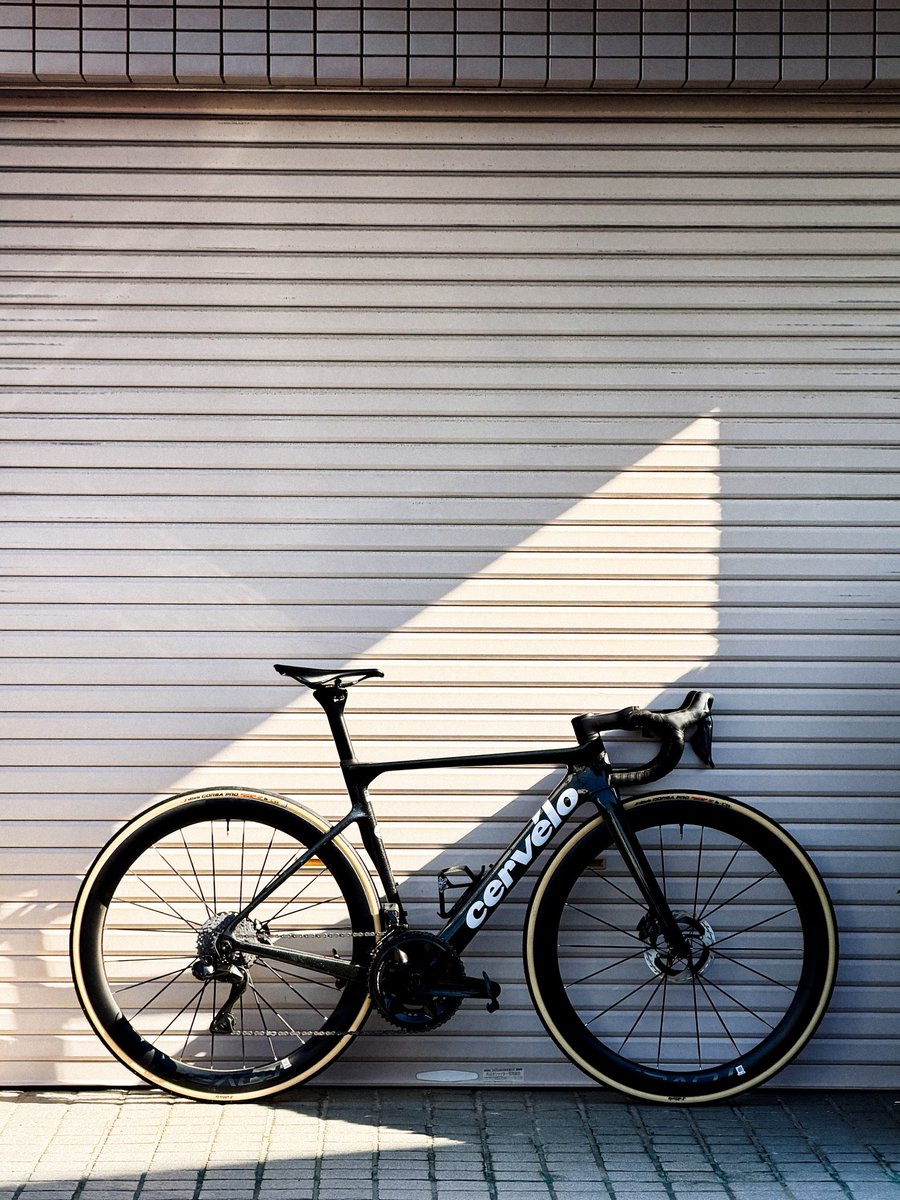 Kei Tsuji / 辻啓 tweet media