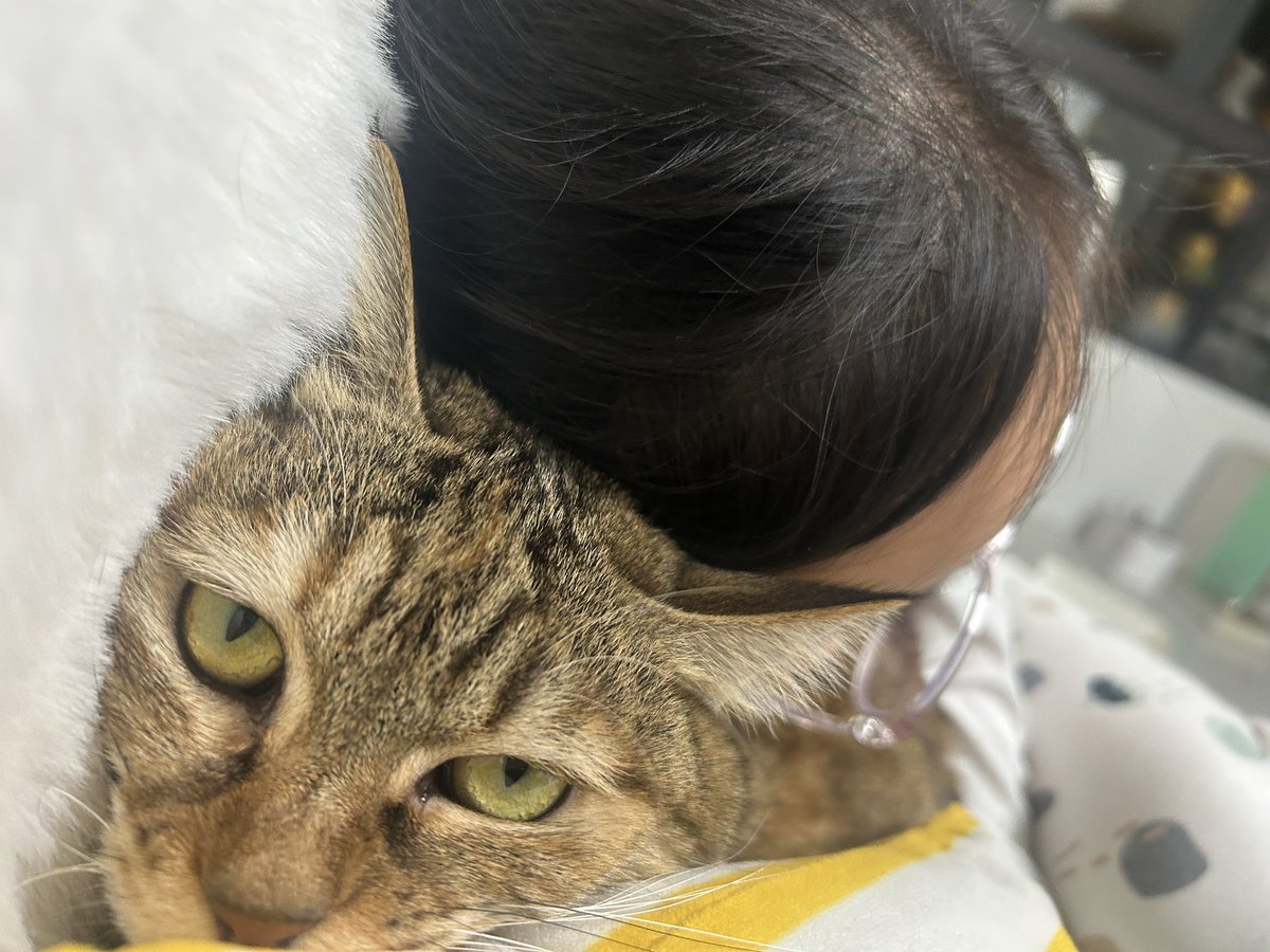 不至于。 tweet media