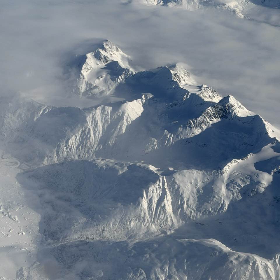 Jeff Schultz tweet media