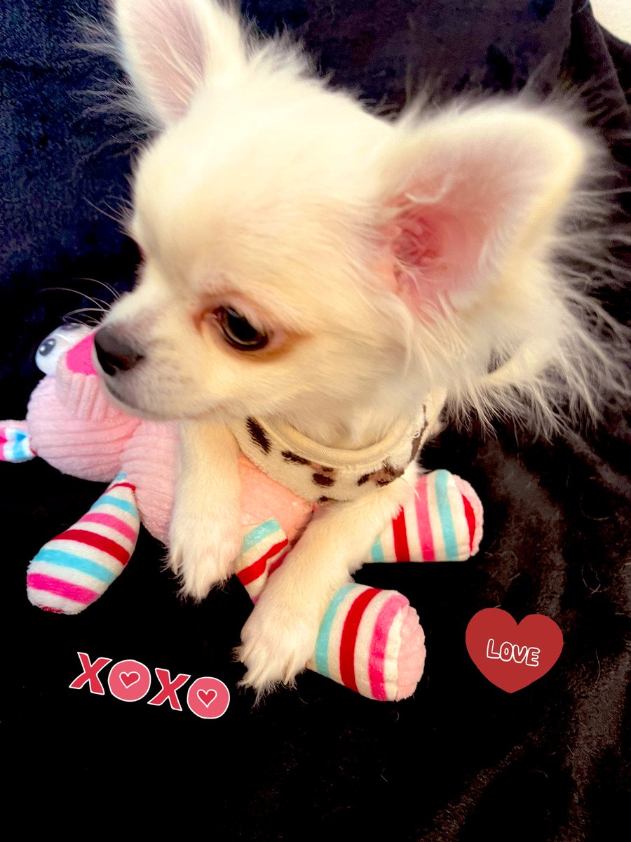 かないみか tweet media