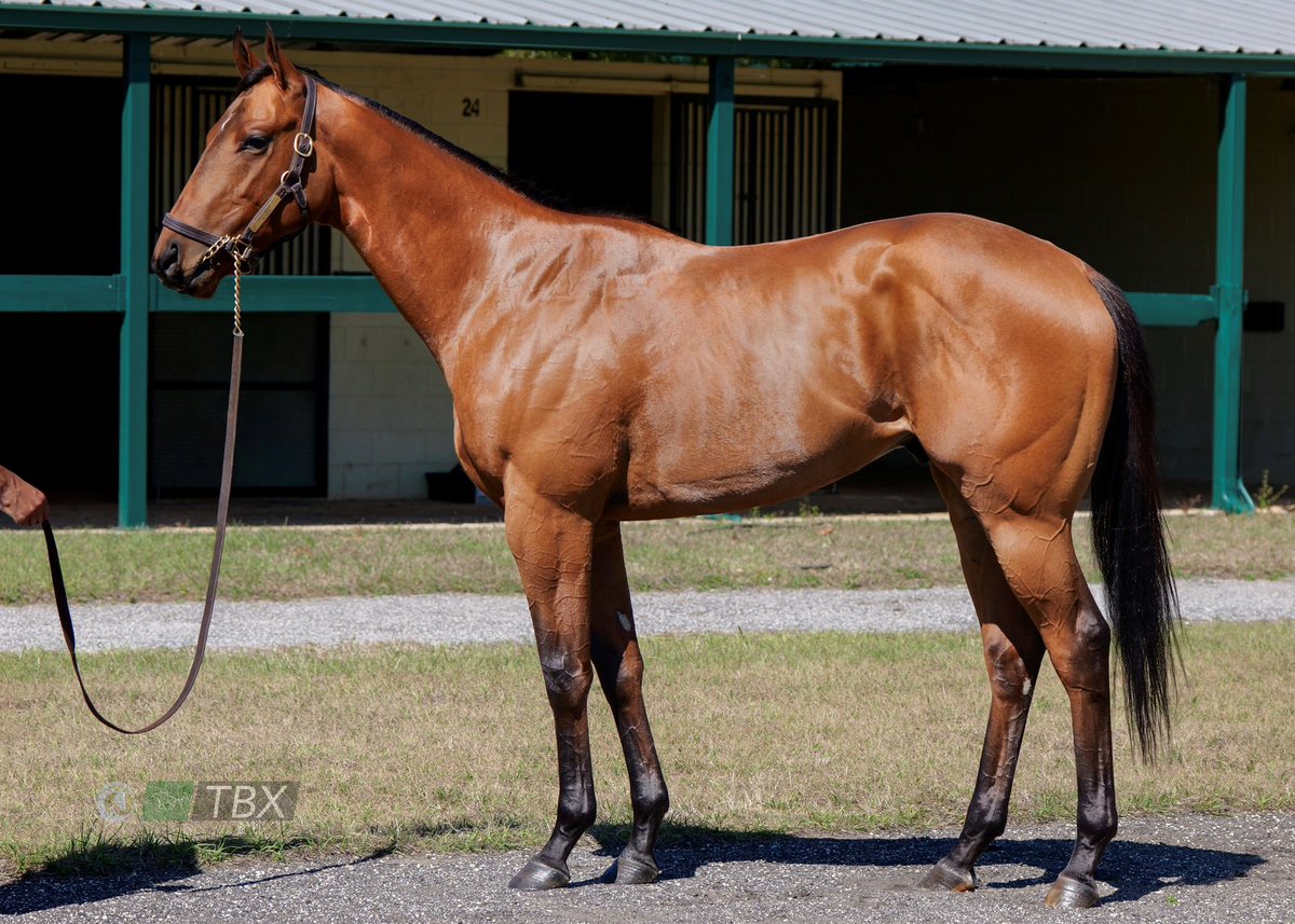 Gervais Racing tweet media