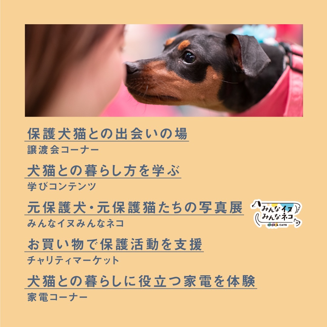 Panasonic_cp's tweet photo. 4月18日(土)、19日(日)東京有明で開催決定📢
パナソニック保護犬猫譲渡会はこれまでに300頭以上の譲渡につながっています🐶🐈

お迎え検討中の方も、そうでない方もぜひご来場下さい！
※譲渡会コーナーの参加には事前予約が必要です
