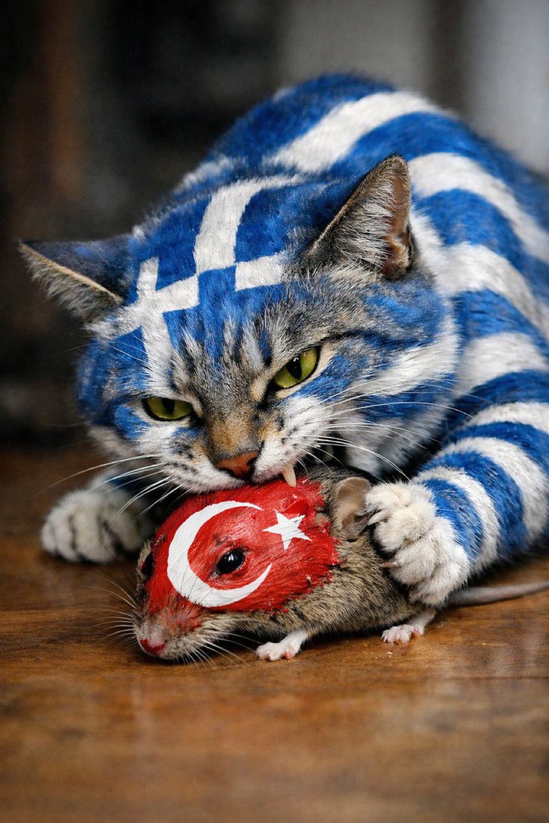 Tasos Kostrivas tweet media