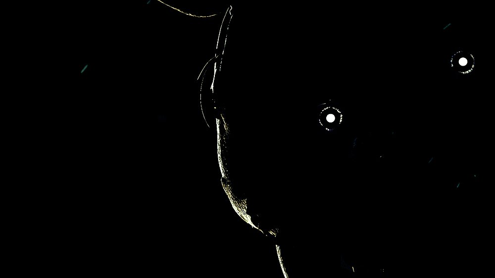 Freddy's Brasil tweet media