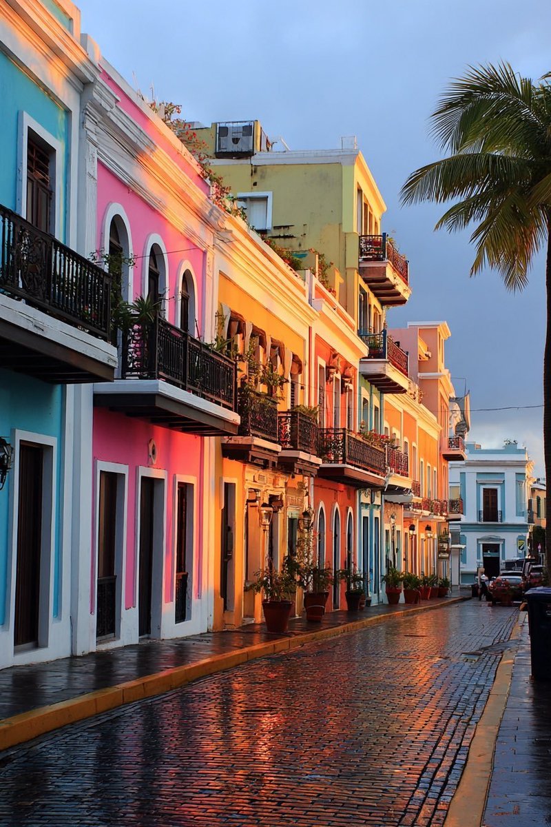 World in Pictures tweet media