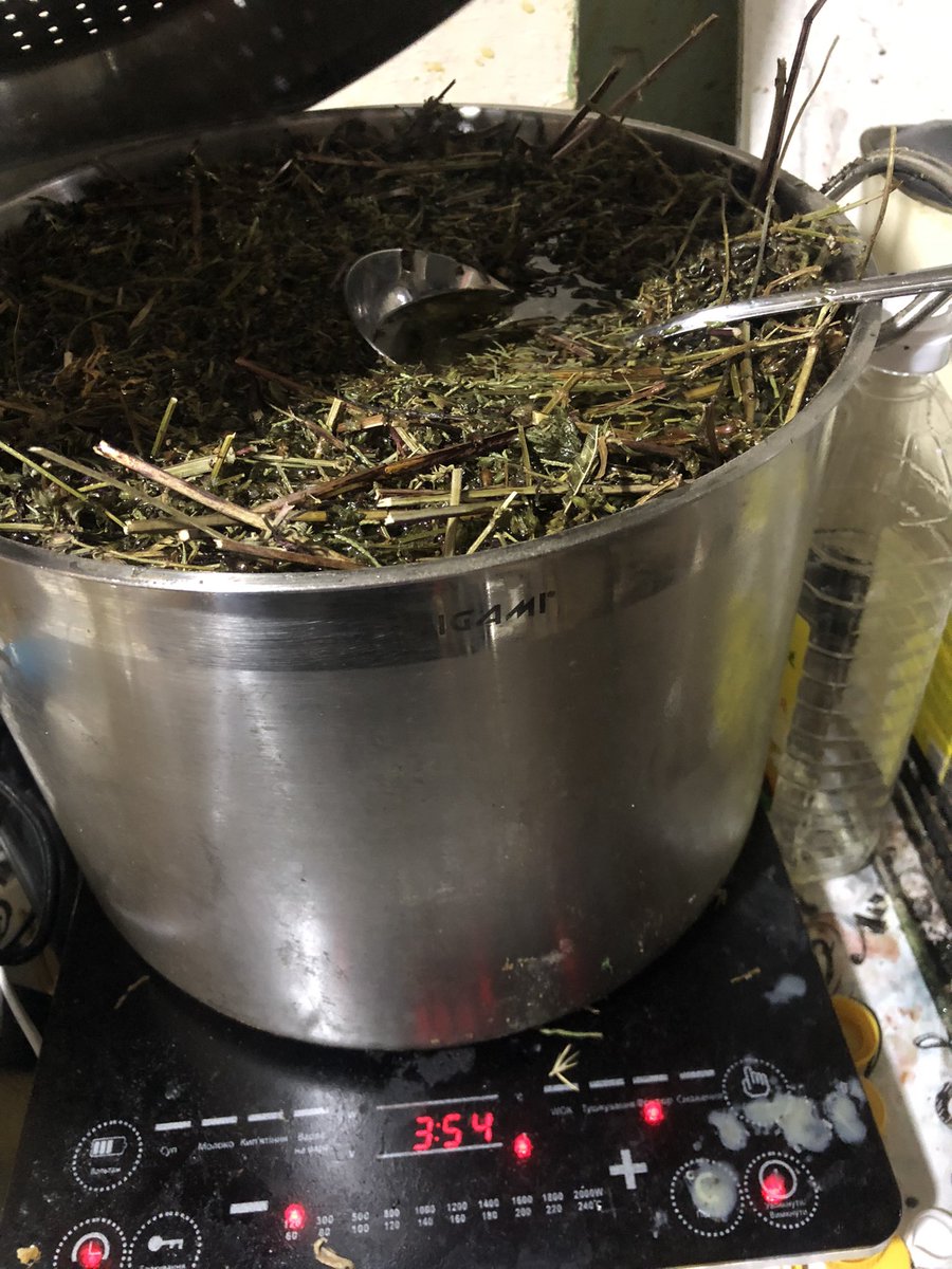 24 L of extraction are running to become 🚫🦟 balms tomorrow!
#spring #NAFOExpansionIsNonNegotiable