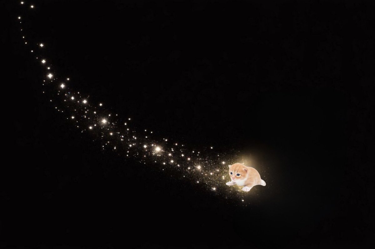 ∴｡  
　･ﾟ*｡.  
　　･ *ﾟ  
　 ･ ﾟ*  
     ･｡  
   *･｡  
      *.｡  
           ｡･  
              °*. ﾟ｡  
                      °*.  
                      ﾟ*.  
                 ｡｡ ･  
             ｡ ･ﾟ  
       ｡°*.  
   ｡*･｡