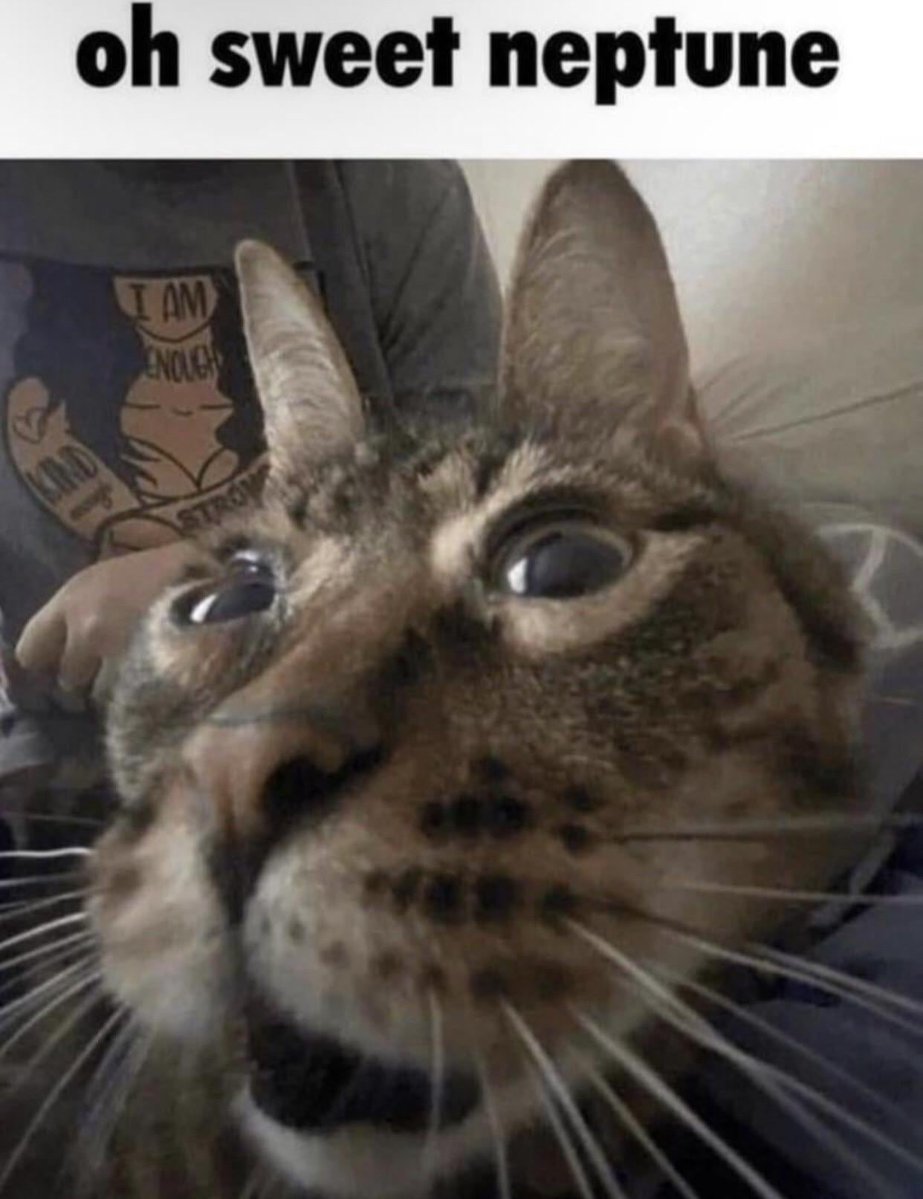 Dizzy🦊 tweet media