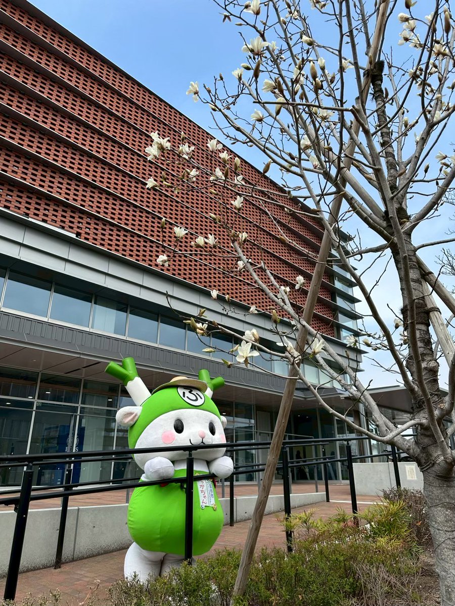 おはよ♪ 東日本大震災から15年 今日は #いのちの日 命の尊さ、命の