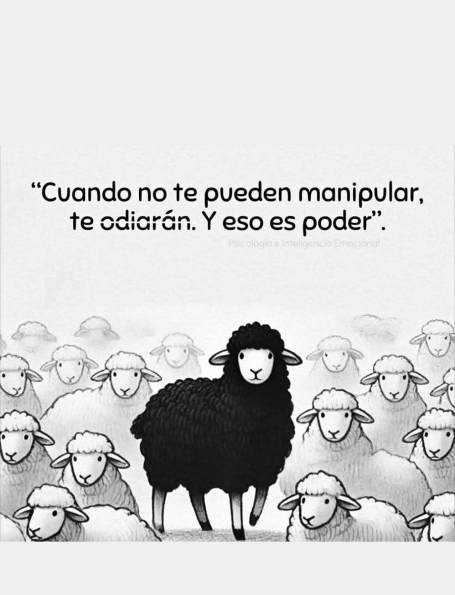 Efectozen tweet media