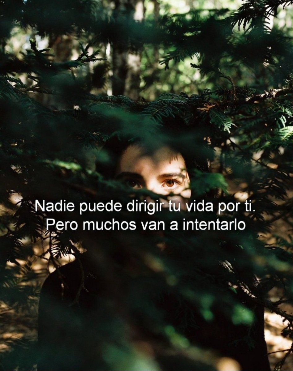 Diegosalamea (@diegosalamea2) on Twitter photo 