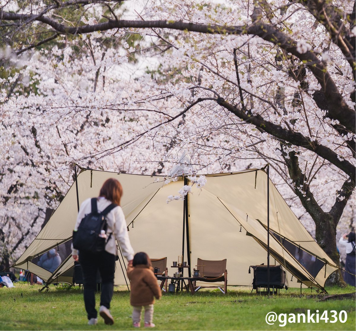 KANTANTARP's tweet image. ／
本日５のつく日！
楽天市場＆Yahoo!ショッピングでのお買い物がお得✨
＼
鎌倉天幕＆WILD THINGS＜NEW SEASON FAIR＞は3/22(日)まで‼

▼楽天市場 rakuten.co.jp/tentya/content…
▼Yahoo!ショッピング store.shopping.yahoo.co.jp/tentya/b3f9c1d…

#鎌倉天幕 #WILDTHINGS #ワイルドシングス #キャンプ #アウトドアギア