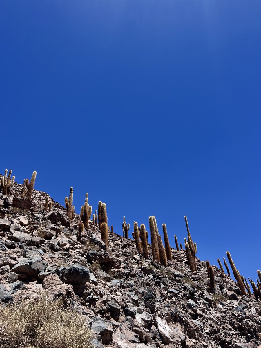 Unholy Maxi 🪦 tweet media