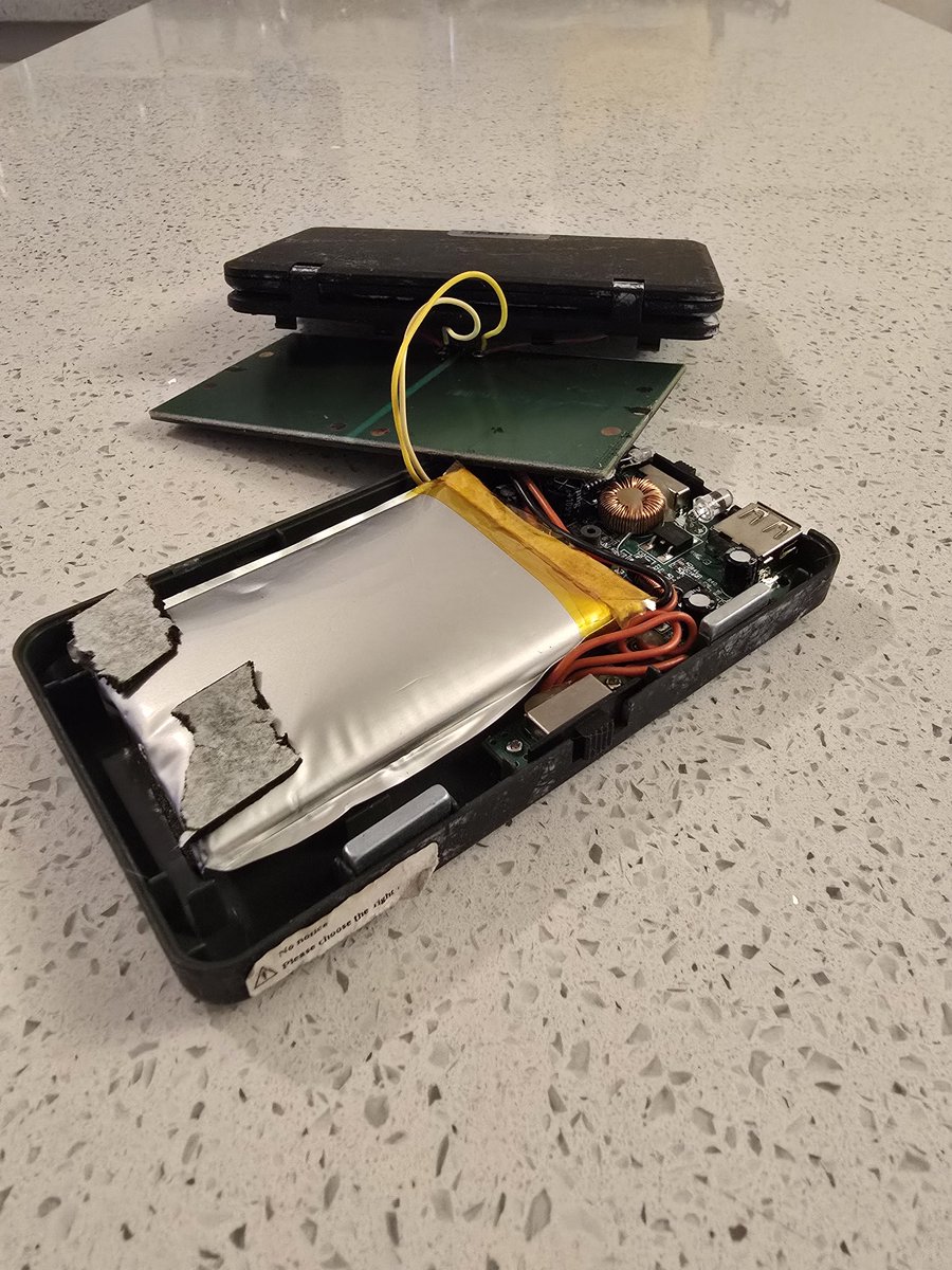 Splat Fennec 🔜 LVFC tweet media