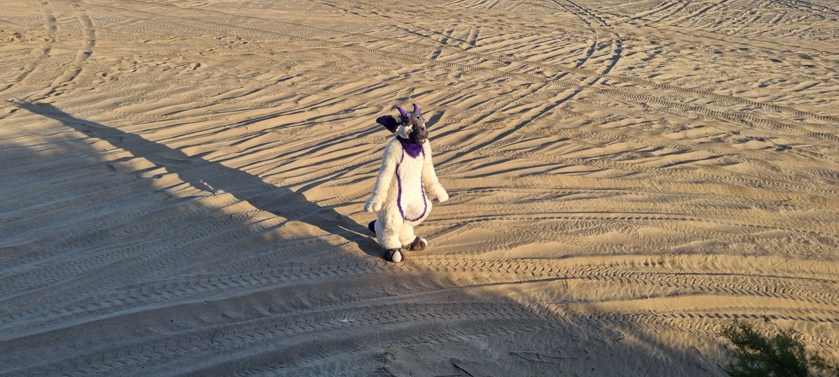 Cukin Cookies 🍪🔜 RAWR tweet media